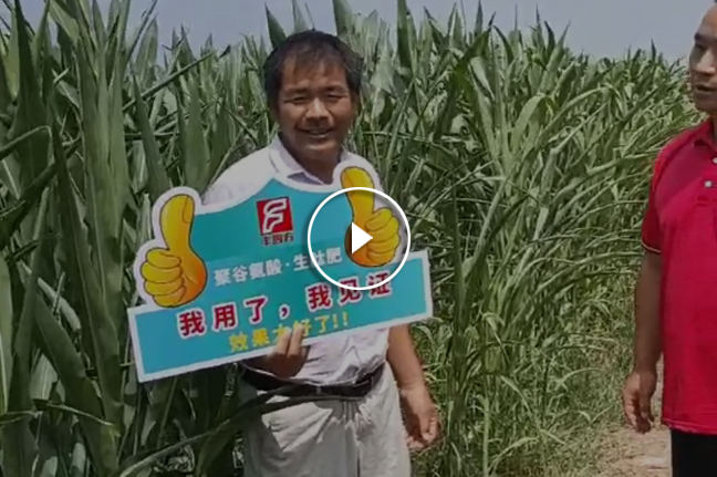 3e0d43915d76da08ffe40bff95efac76