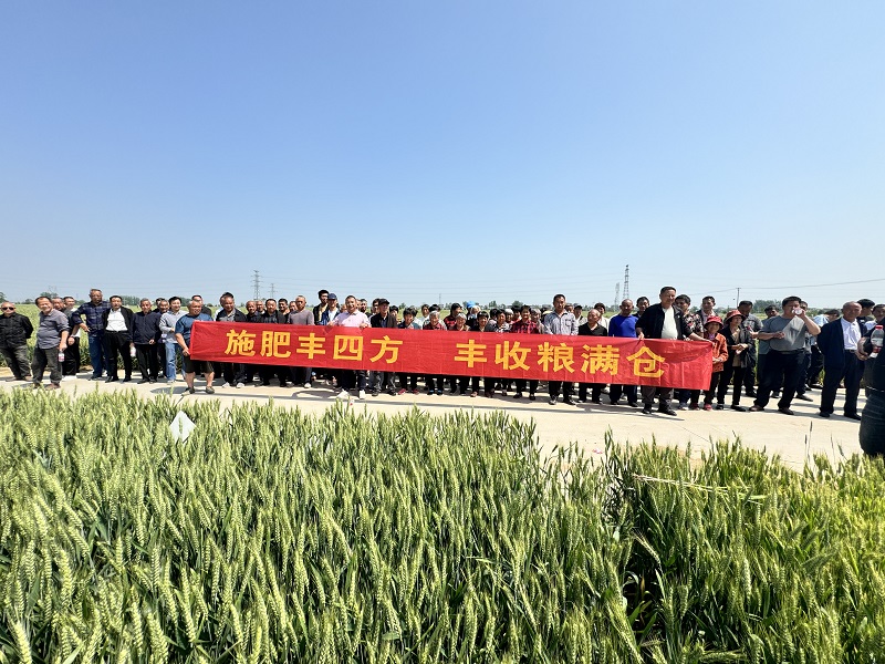 2aac53150d5280db6d0282b63fcdbbf1